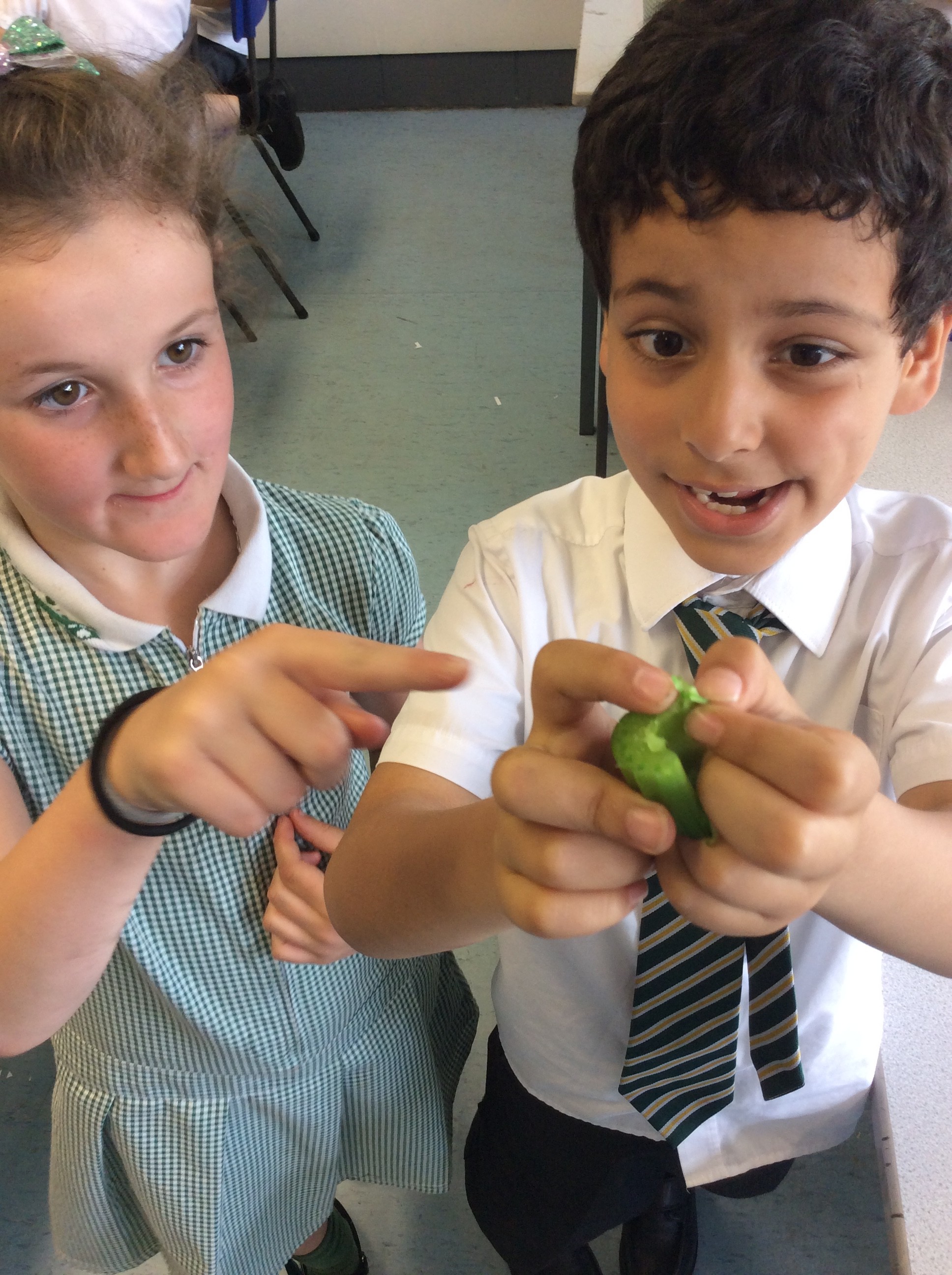 How does water travel through plants
